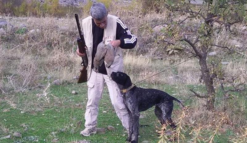 Bıldırcın ve üveyik av sezonu başlıyor