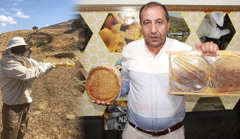 Altın madalyalı `Bingöl Balı`na rağbet
