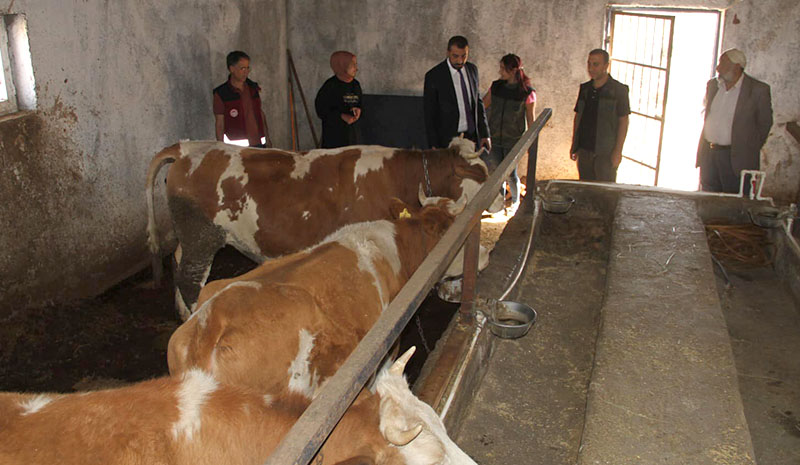`Amacım ülke ekonomisine katkı sunmak`