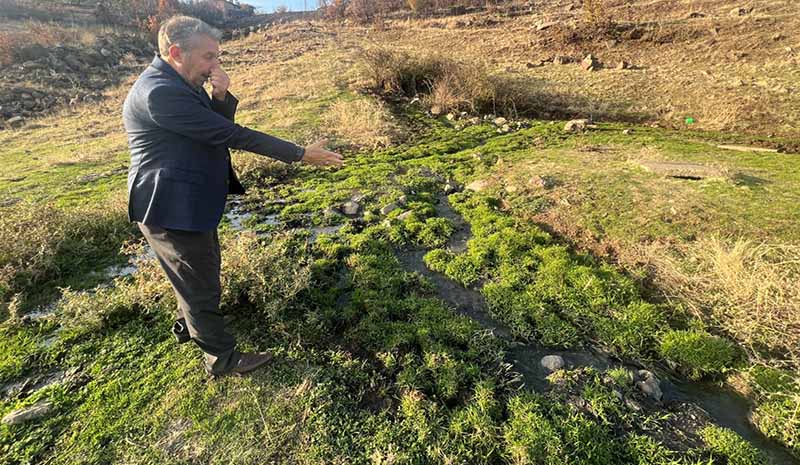 Dolan foseptikler insan sağlığını tehdit ediyor