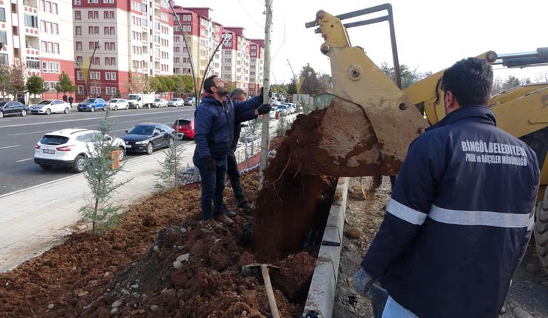 Belediyeden hummalı çalışma