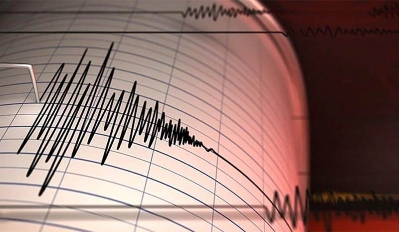 DEPREM BİNGÖL`DE DE HASARA NEDEN OLDU