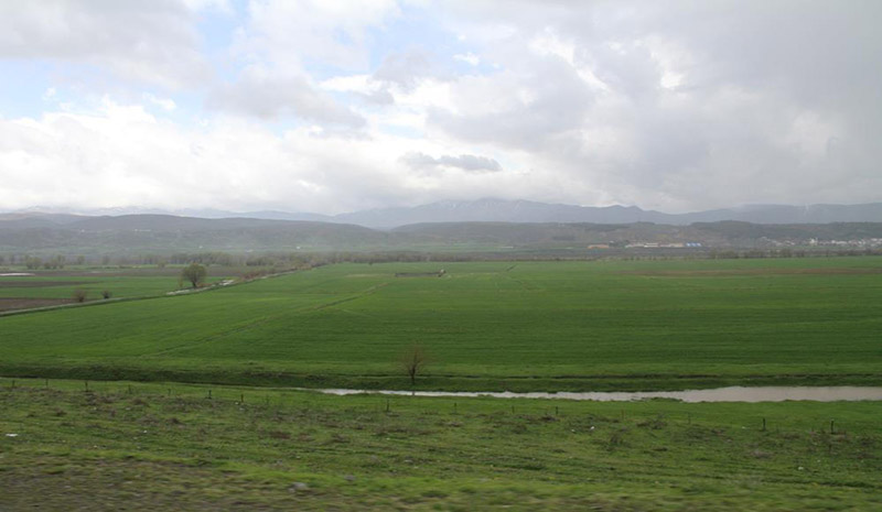 Sağanak yağış sonrası tarım arazileri incelendi