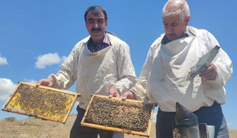 Bayramı aileleri yerine arılarının yanında geçiriyorlar