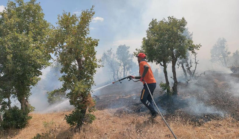 Bingöl`de 5 farklı noktada orman yangını