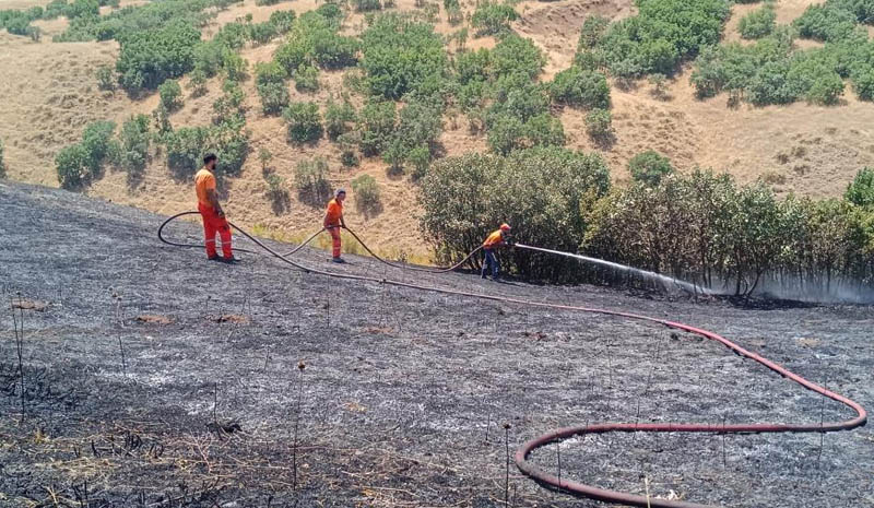 Bingöl`de ağaçlık alanda çıkan yangın büyümeden söndürüldü