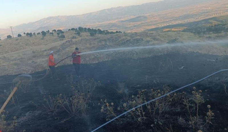 Bingöl`de yangın ormana sıçramadan söndürüldü