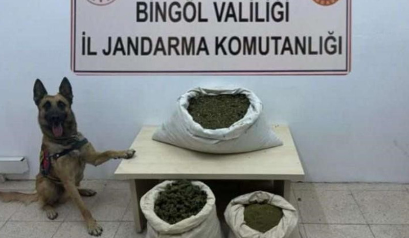 Bingöl`de 6 arazide uyuşturucu madde ele geçirildi