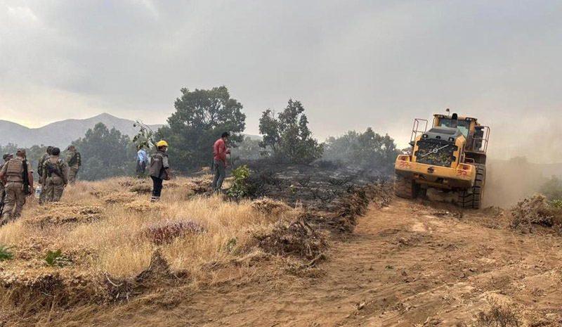 Bingöl`de Ormanlık Alanda Çıkan Yangın Söndürüldü