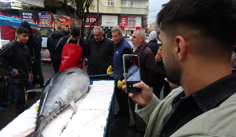 Bingöl`de dev orkinosu görenler telefona sarıldı