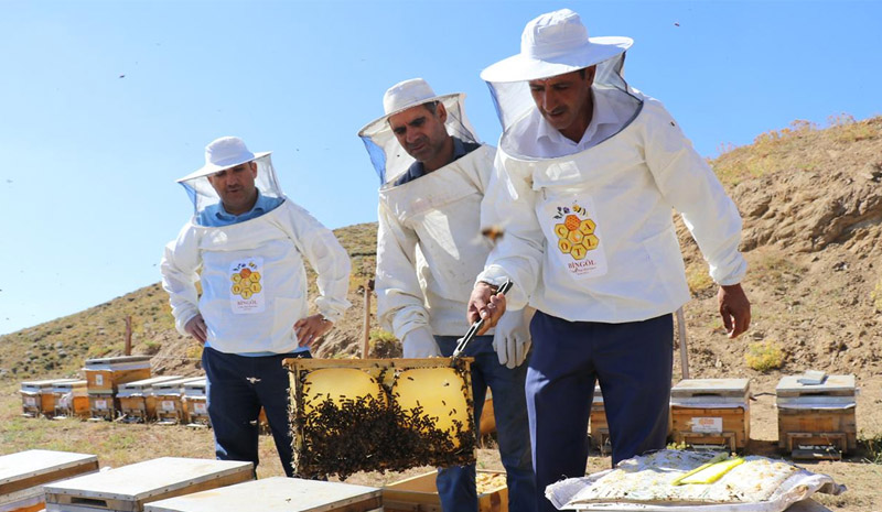 Bingöl`ün arıcılık ve bal kültürü ‘Kültürel Miras` olarak kayıt altına alındı