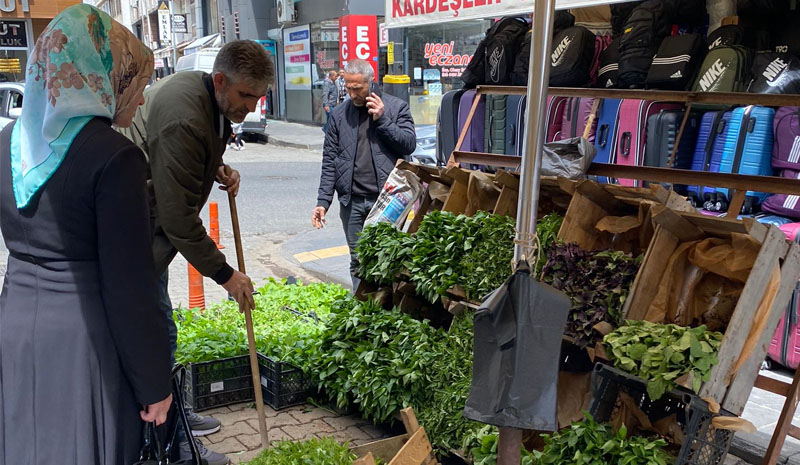 Bingöl`de sebze fidesi satışları başladı