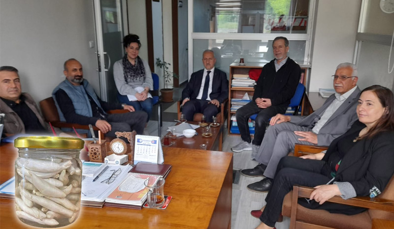 Bingöl`de 