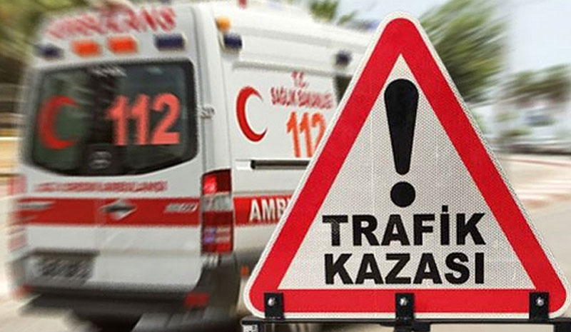 Köpekten kaçarken canından oldu!
