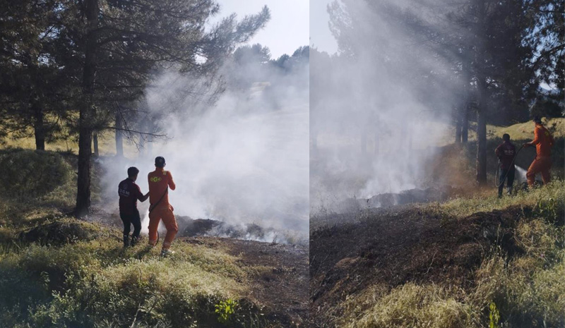 Bingöl`de orman yangını erken müdahale ile önlendi