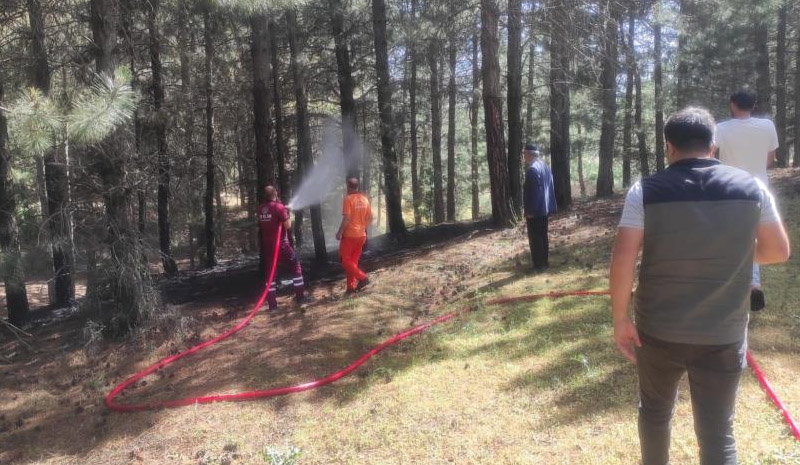 Bingöl`deki orman yangını büyümeden söndürüldü