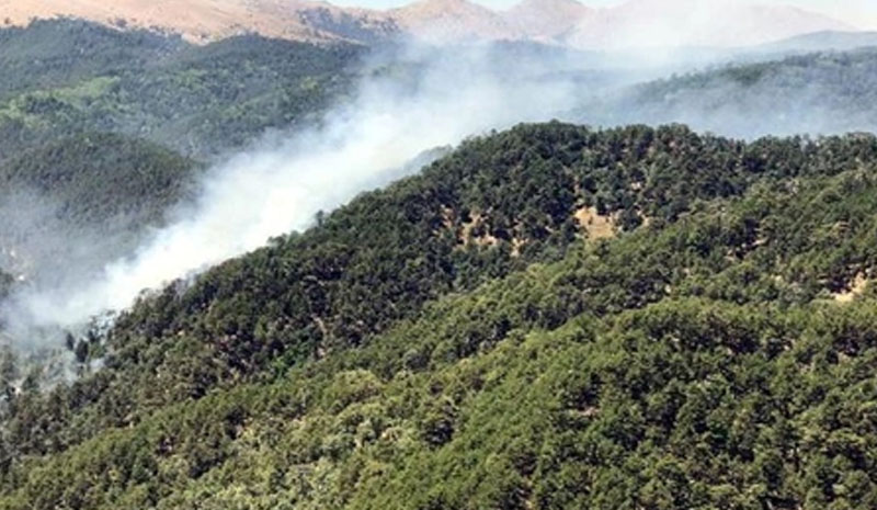 Valilik, giriş yasağını duyurdu!