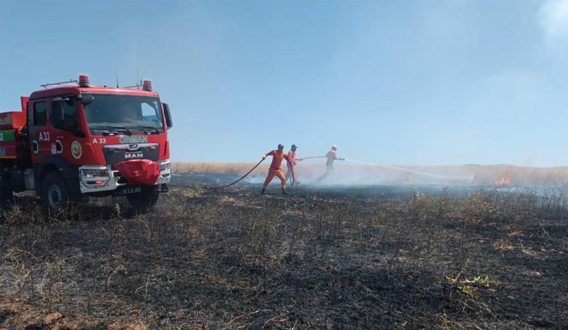 Bingöl`de yaklaşık 100 dönümlük tarım alanı yandı
