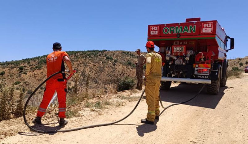 Bingöl`de çıkan orman yangını söndürüldü