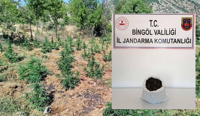Bingöl`de uyuşturucu madde ele geçirildi
