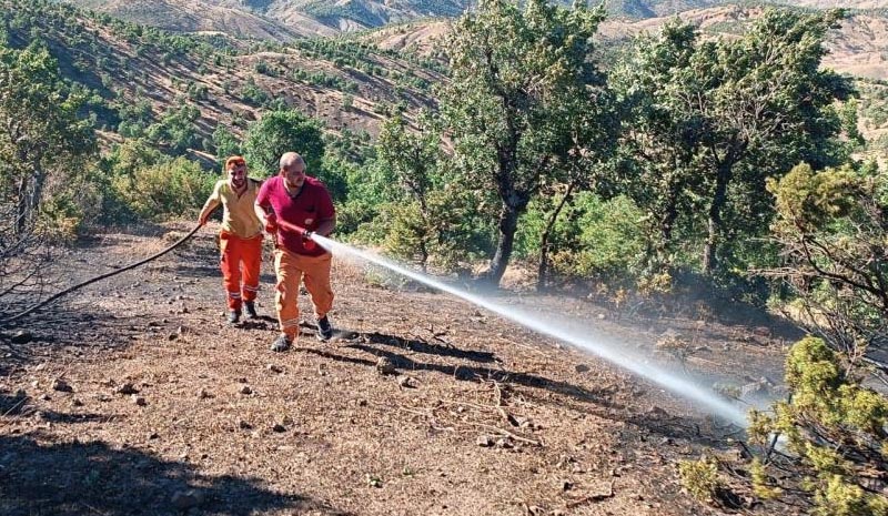 Bingöl`de her gün yeni bir orman yangını!