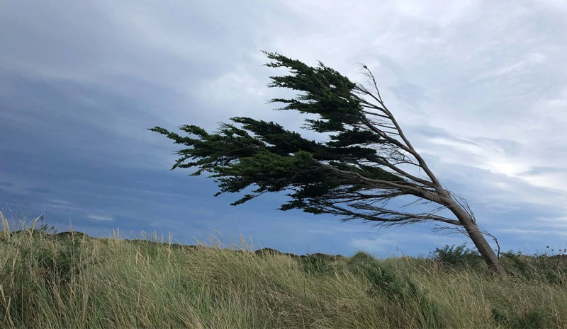 Meteorolojiden kuvvetli rüzgâr uyarısı