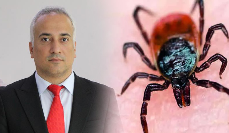 Bingöl`de 12 kene vakası! 2 kişi hayatını kaybetti