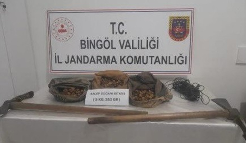 O bitkiyi toplayanlara 1 milyon TL`lik ceza