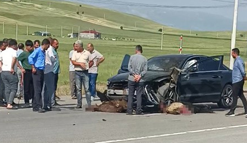 Otomobil sürüye daldı! Onlarcası telef oldu