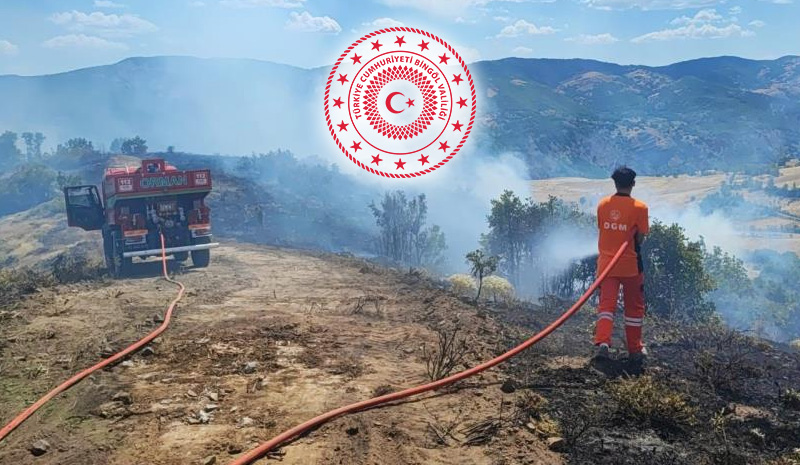 Bingöl Valiliği orman yangınlarına karşı uyardı