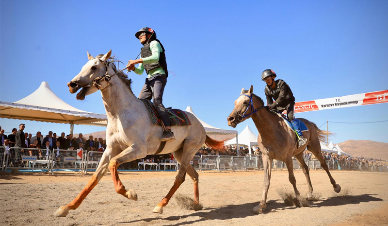 Bingöl`de at yarışları renkli görüntüler oluşturdu