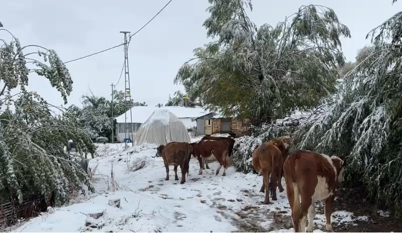 Bingöl`ün yüksekleri beyaza büründü