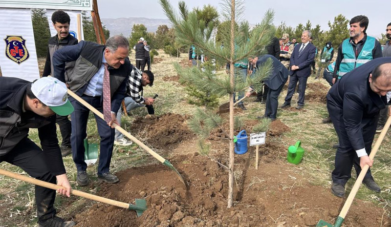 Bingöl`de 25 bin fidan toprakla buluştu