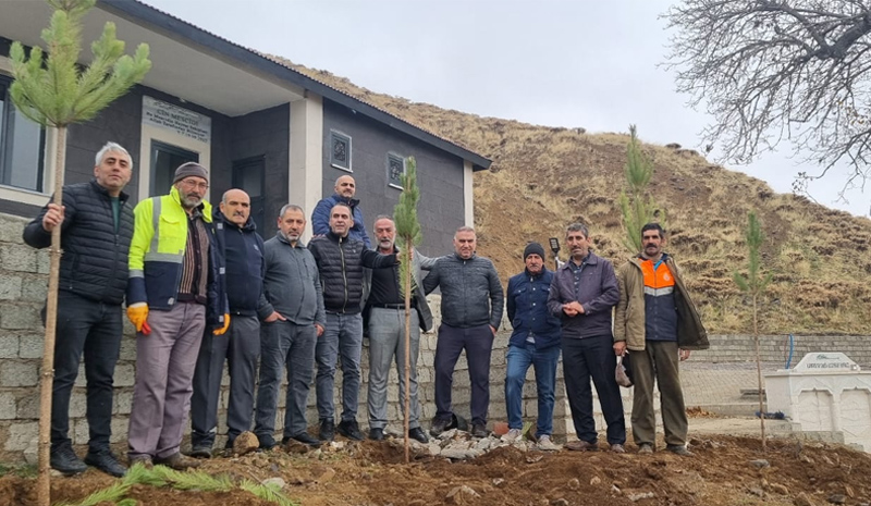 Bingöl`de Hasan Bey Suyu Çevresi Ağaçlandırıldı