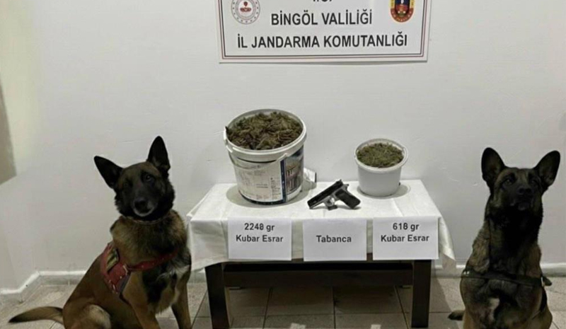 Bingöl`de uyuşturucu operasyonu: 3 gözaltı