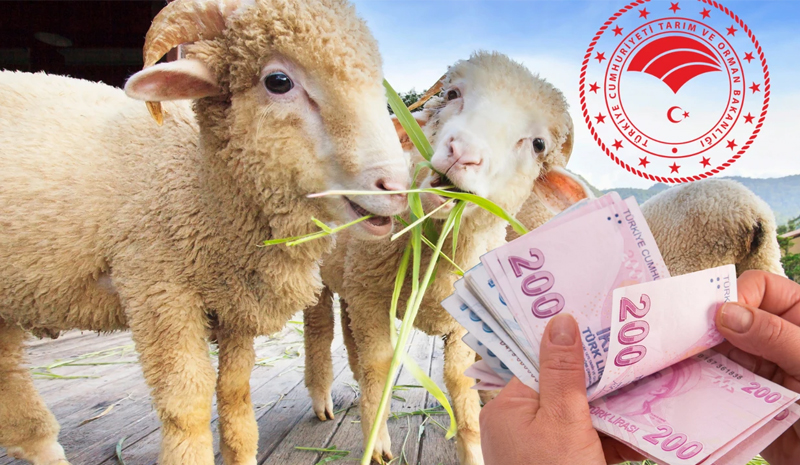 Kırsalda Bereket Projesi Başlıyor