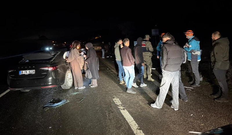 Bingöl`de Otomobil Ata Çarptı: 4 Yaralı