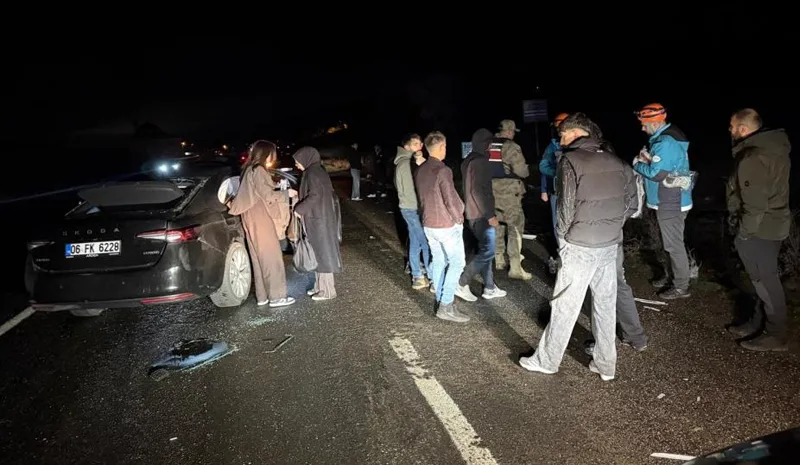 Bingöl`de Otomobil Ata Çarptı: 4 Yaralı