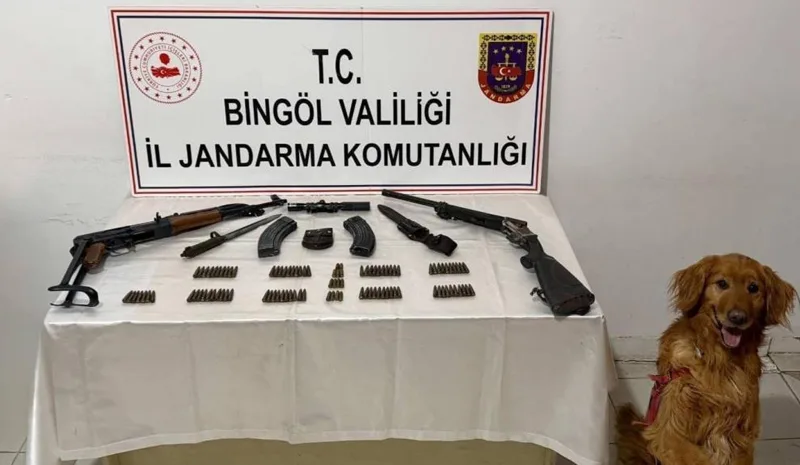Bingöl`de şüpheli adrese jandarma baskını!