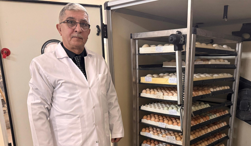 Bingöl`de Kanatlı Kuluçka Merkezi Hizmete Açıldı