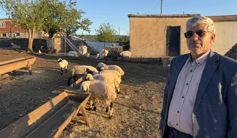 Bingöl yaylalarına göç başladı