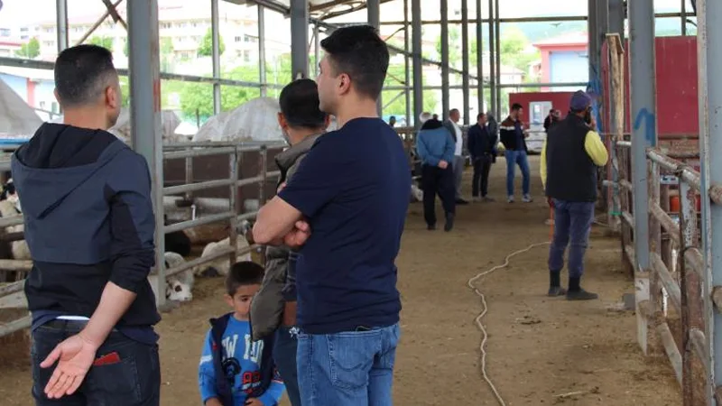 Kurban Pazarında Hareketlilik! Üreticiler Satışlardan Umutlu