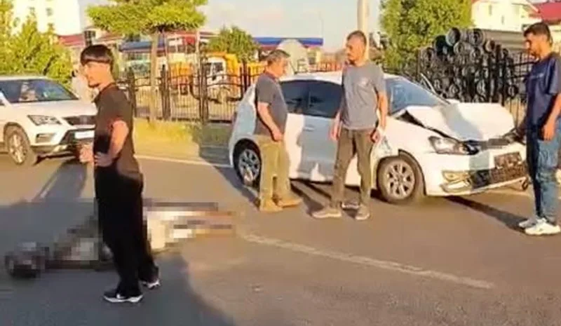 Bingöl`de başıboş hayvan kazası! Eşek telef oldu