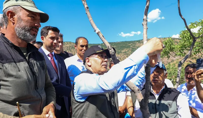 Bingöl`de Menengiç Ağaçları Ekonomiye Kazandırılıyor