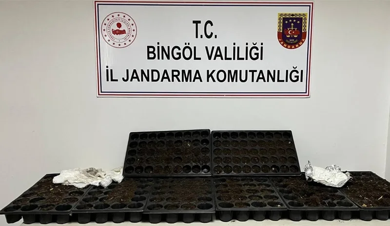 Bingöl`de Jandarmadan Bir Haftada 27 Operasyon