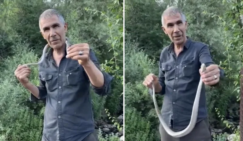 Zehirli Engereği Eliyle Yakalayıp Boynuna Doladı