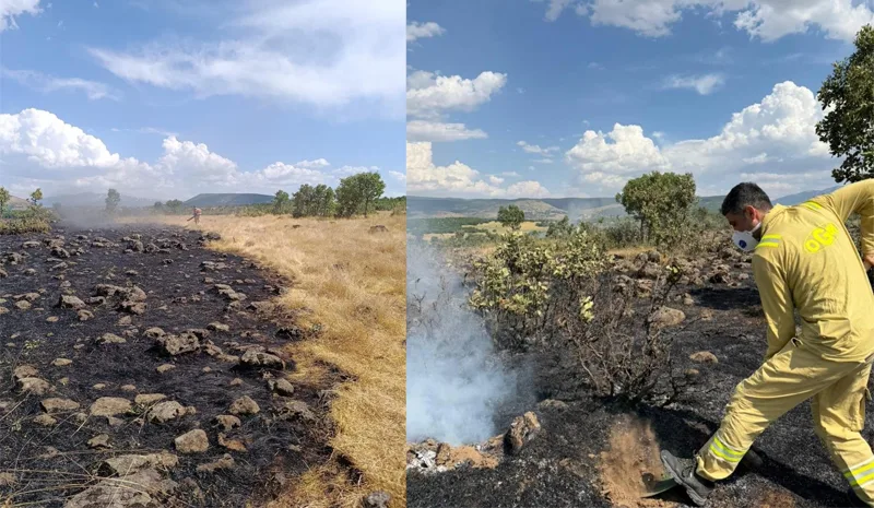 Bingöl`de Orman Yangını Paniği