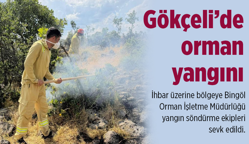 Bingöl`de Orman Yangını Paniği