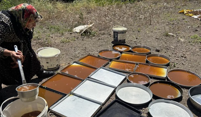 Servi`de dut pekmezi mesaisi başladı!