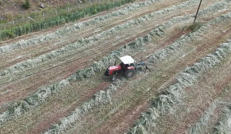 Bingöl`de ikinci ürün mesaisi başladı